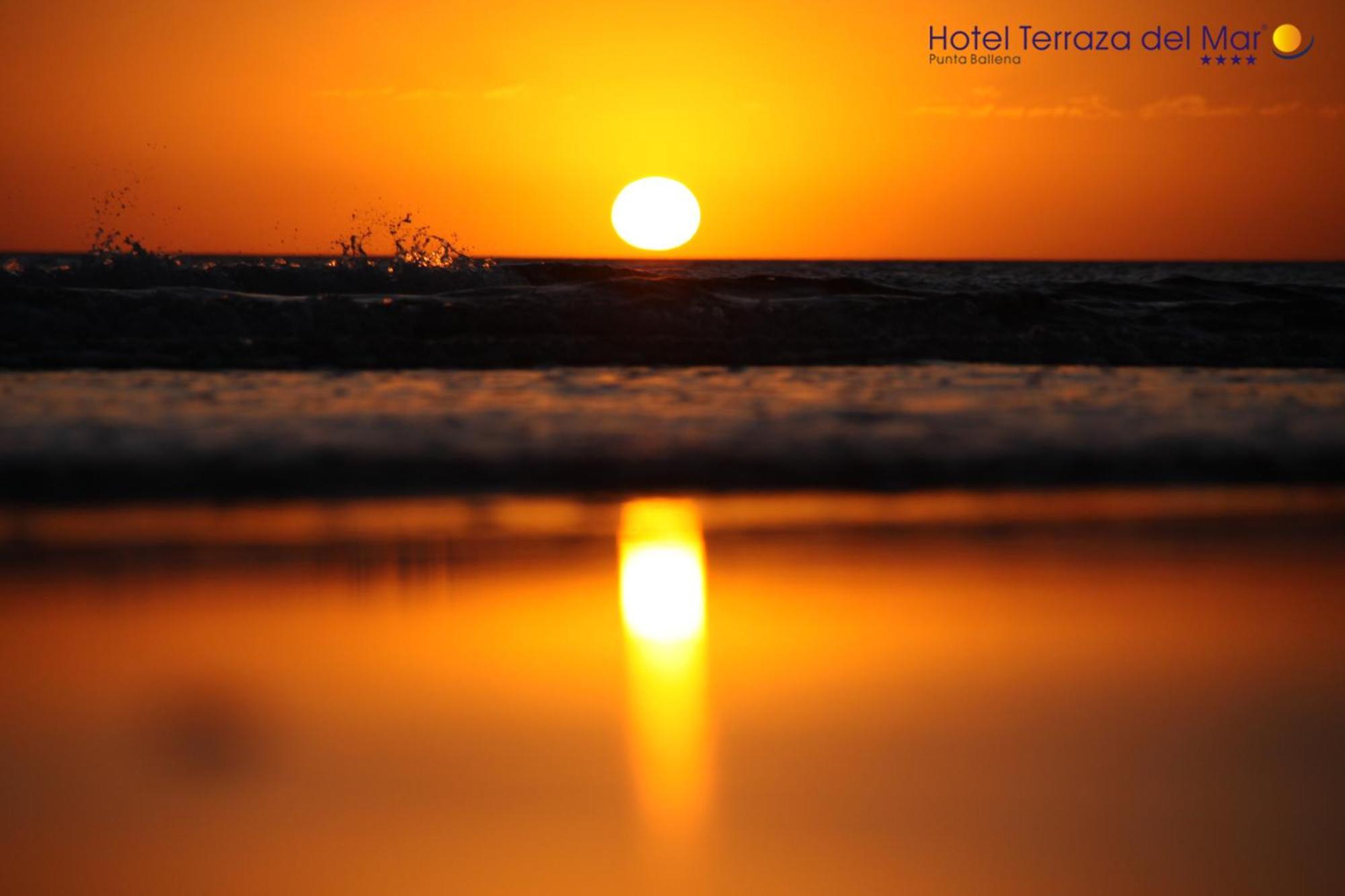 Hotel Terraza Del Mar ปุนตาบาเญนา ภายนอก รูปภาพ